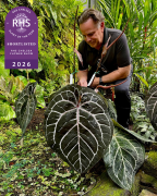 Dr Jeff Block with Anthurium Michelle®. Shortlisted in RHS Plant of the Year 2026